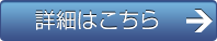 採用適性検査の詳細