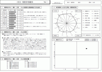 複眼評価観察 診断結果レポート 1ページ目