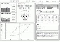 CUBIC for WEB 採用適性検査用 追加面接用ページ